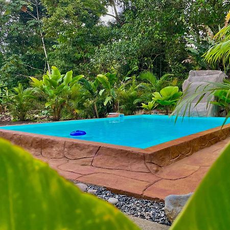 Iki Volcan Arenal With Jacuzzy La Fortuna Ngoại thất bức ảnh